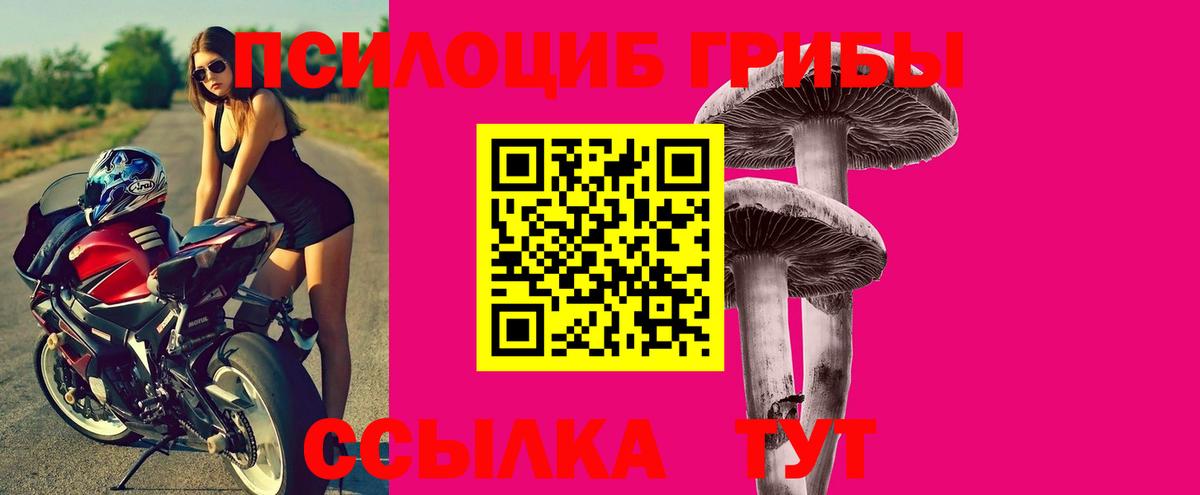 Дубна  Галлюциногенные грибы GOLDEN TEACHER  Вход с VPN 